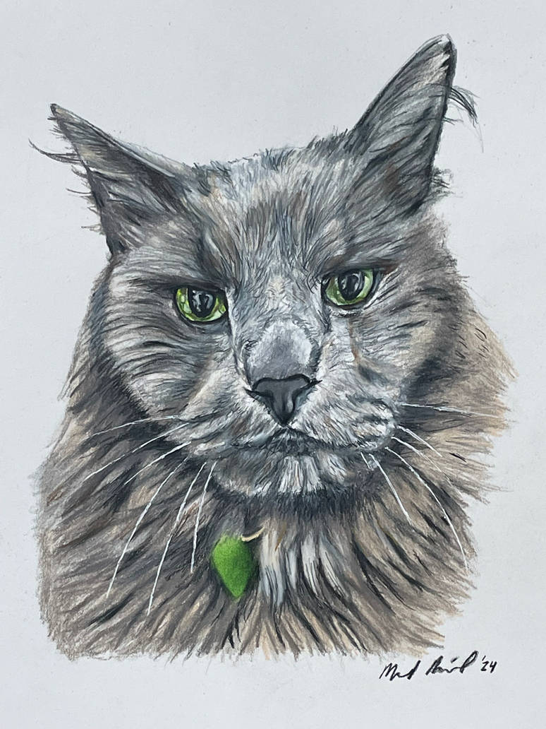 Bishi, a traditional drawing by Mark Russinovich