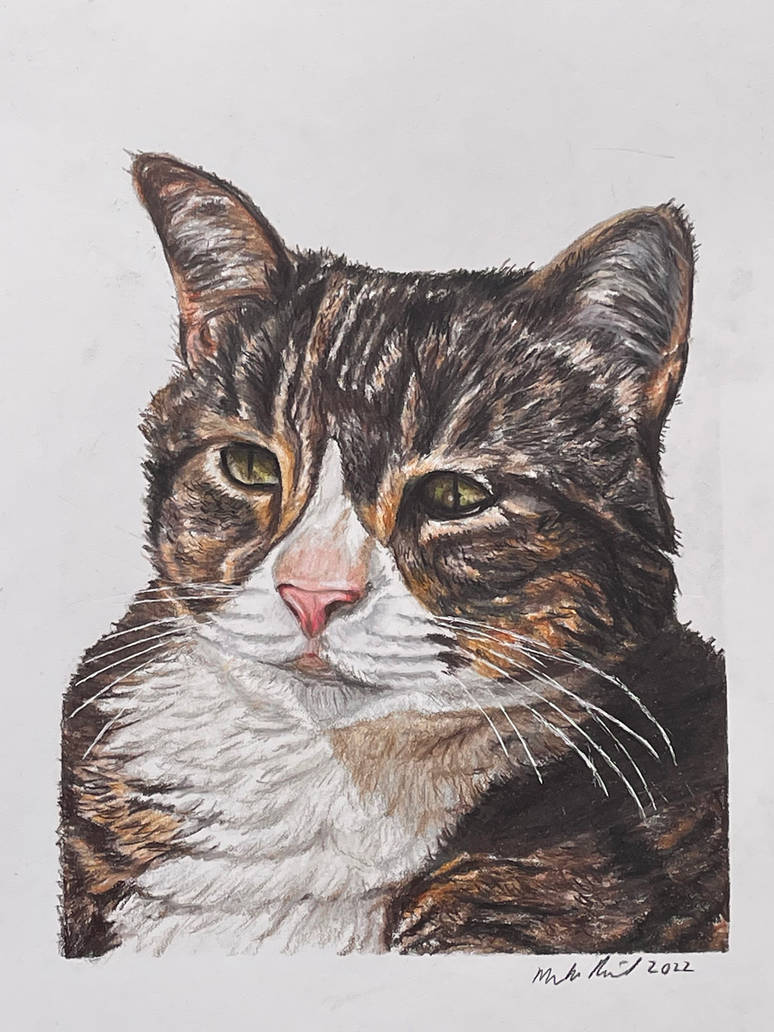 Posie, a traditional drawing by Mark Russinovich